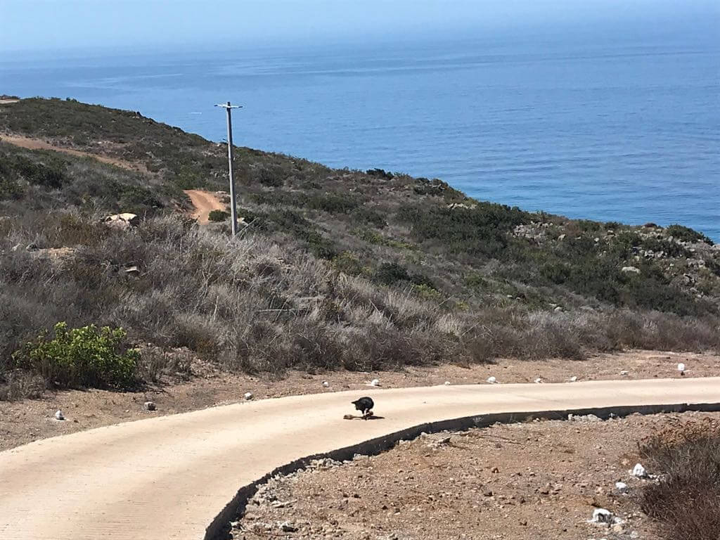 Cumbres Vistamar Lot